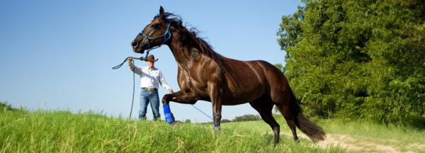 Gaining-Control-and-respect-on-the-ground