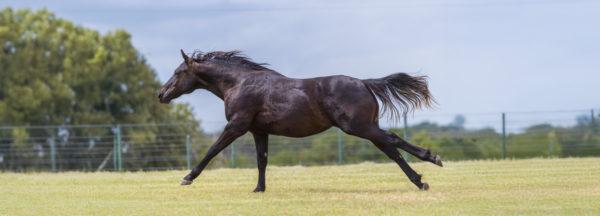 Clinton-Anderson-Presents_Method-for-the-Madness