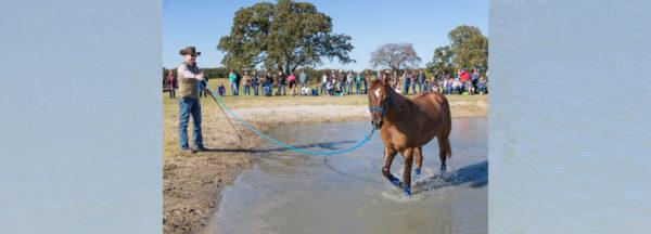 Clinton-Anderson-Presents_Overcoming-Obstacles