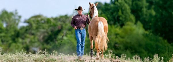 Develop-Secure-Seat-While-Training-Rescue-Horse