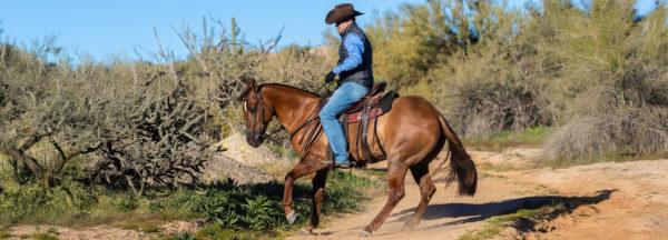 March-NWC-Preview_Arizona-Desert-Adventure-Pt3