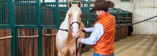 Correct-Cross-Tying-Problems