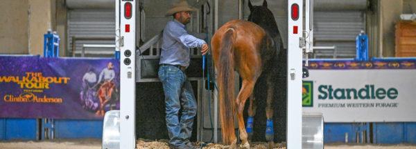 Training-Tips_Safely-Unloading-Horse-Off-Trailer