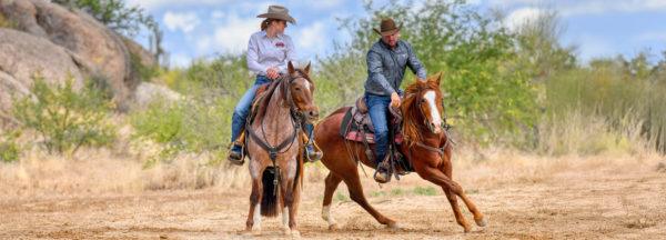 buddy-sour-horses-on-the-trail